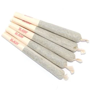 Buy 10 Gorilla Glue Pre-Rolled Joints in Singapore