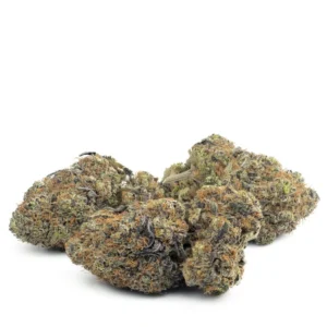 Buy Purple Haze Strain Singapore
